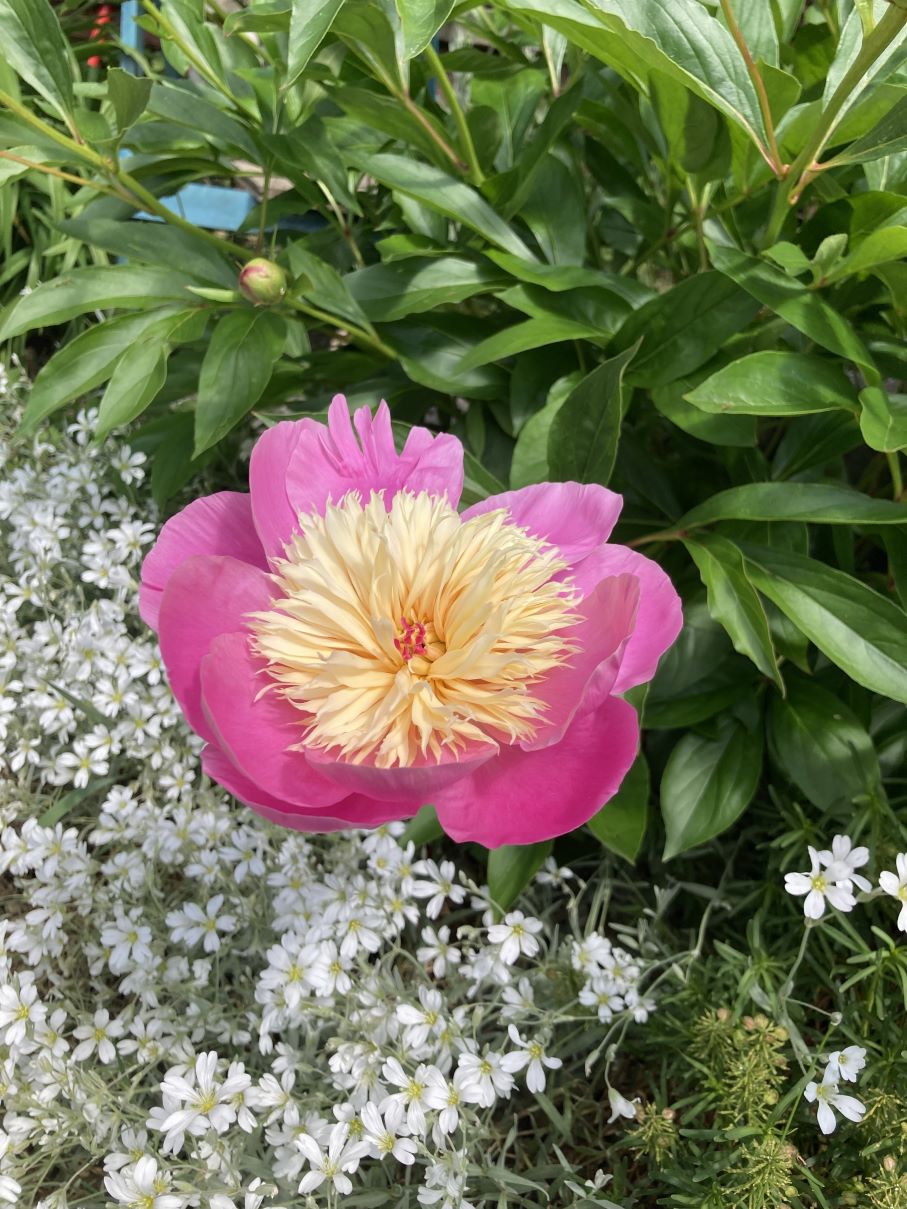 HeilungsAbend: Thema "Lebensfreude / Glücklich sein"